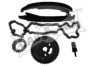 CAUTEX 201515 Timing Chain Kit